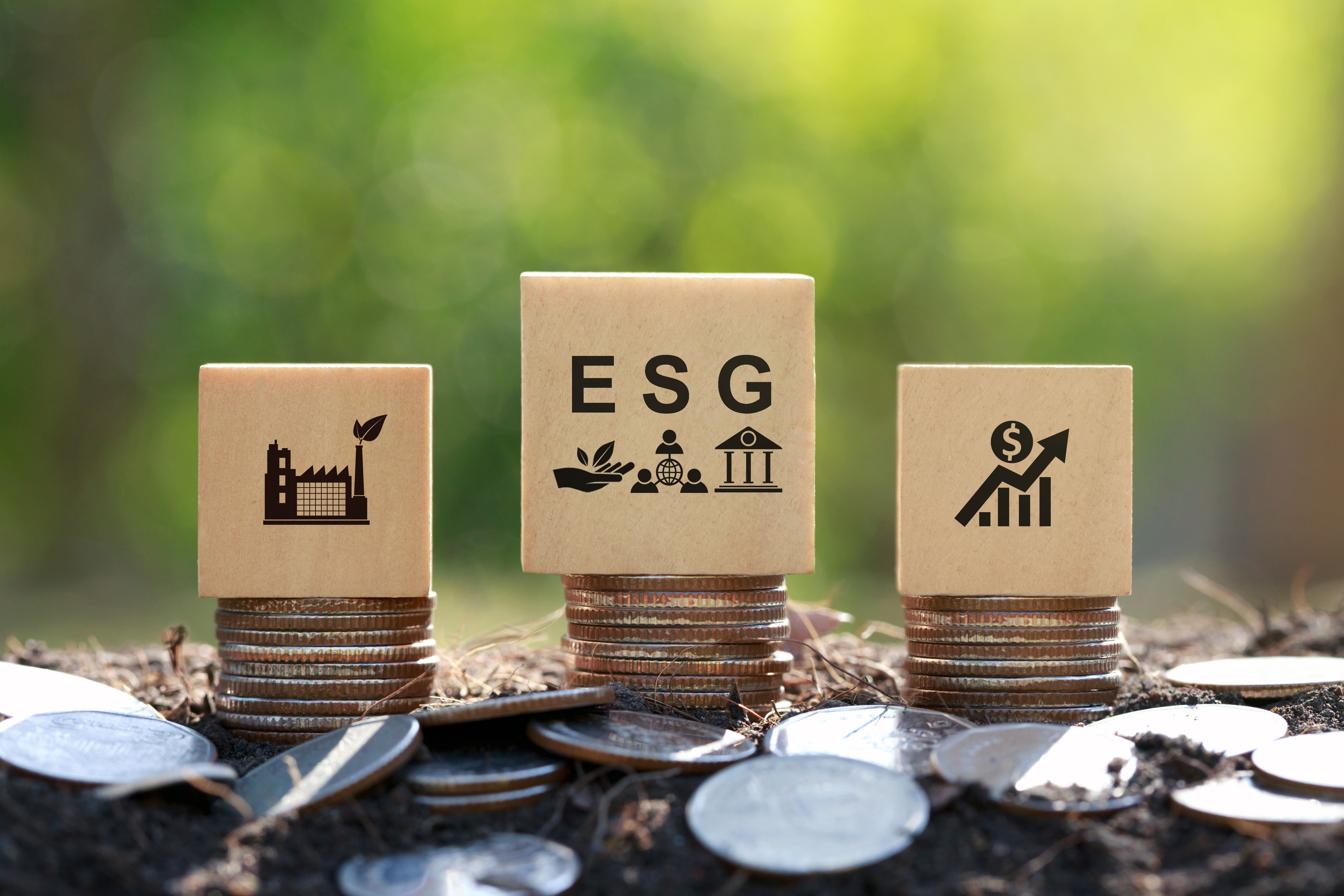 Environmental Consulting Services